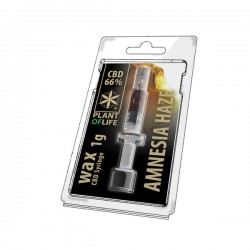 CBD Wachs Amnesia Haze 66% 1ML Pflanze des Lebens