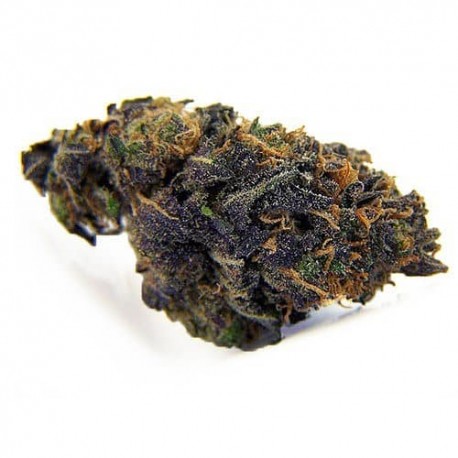 CBD Blackberry Kush 11,1%