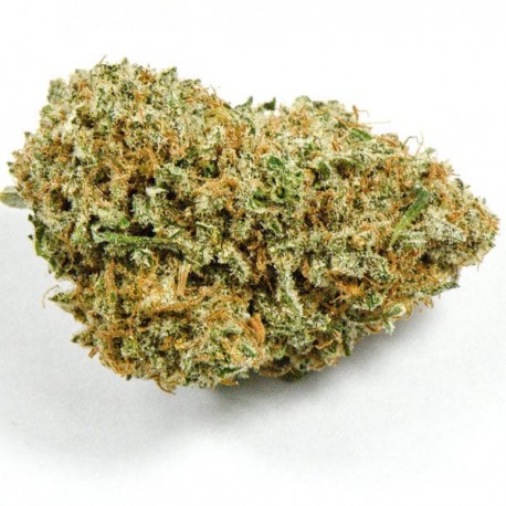 CBD Herbe ACDC 13,2%