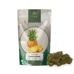 Rhum arrangé aux fleurs de CBD Mango Kush - Dispo chez S Factory !