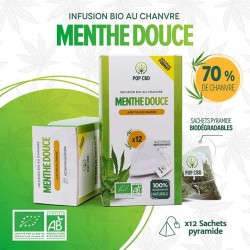 Infusion & Tisane CBD 70% Menthe Sachet Pyramide – POP CBD