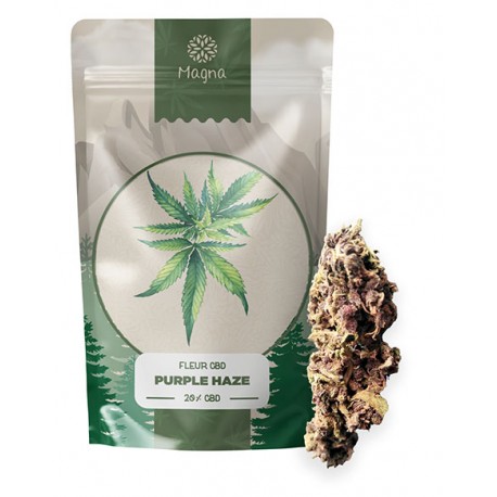 Fleur de CBD Purple Haze 19,7% 10G