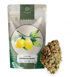 Rhum arrangé aux fleurs de CBD Mango Kush - Dispo chez S Factory !