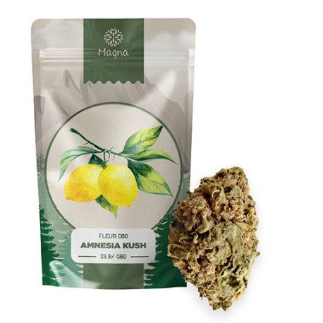 La fleur de CBD (23,8%) Amnesia Kush – 5G