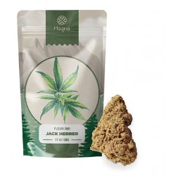 La fleur de CBD Jack Herer à 17,3% - 5G