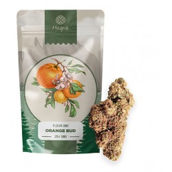 Fleur de CBD, Orange Bud (25 %) – Indoor