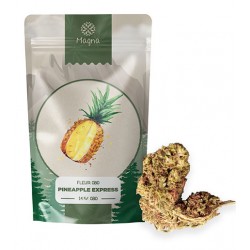 Fleur de CBD Pineapple Express à 14,9%