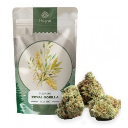 La fleur de CBD Royal Gorilla à 16,1%