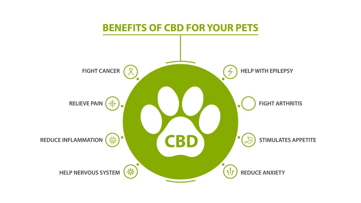 Weitere Vorteile von Cannabidiol