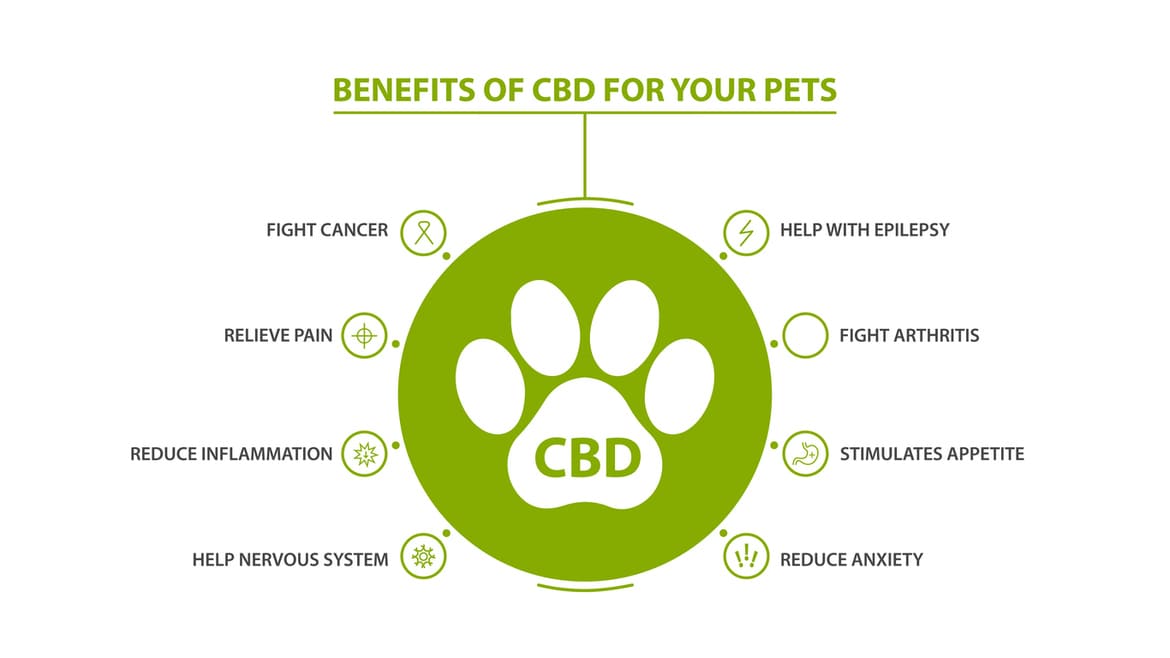 Other benefits of cannabidiol