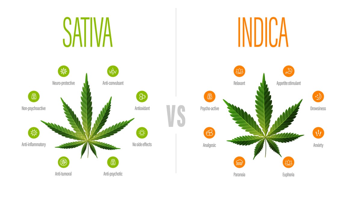 Quels sont les différents effets ?