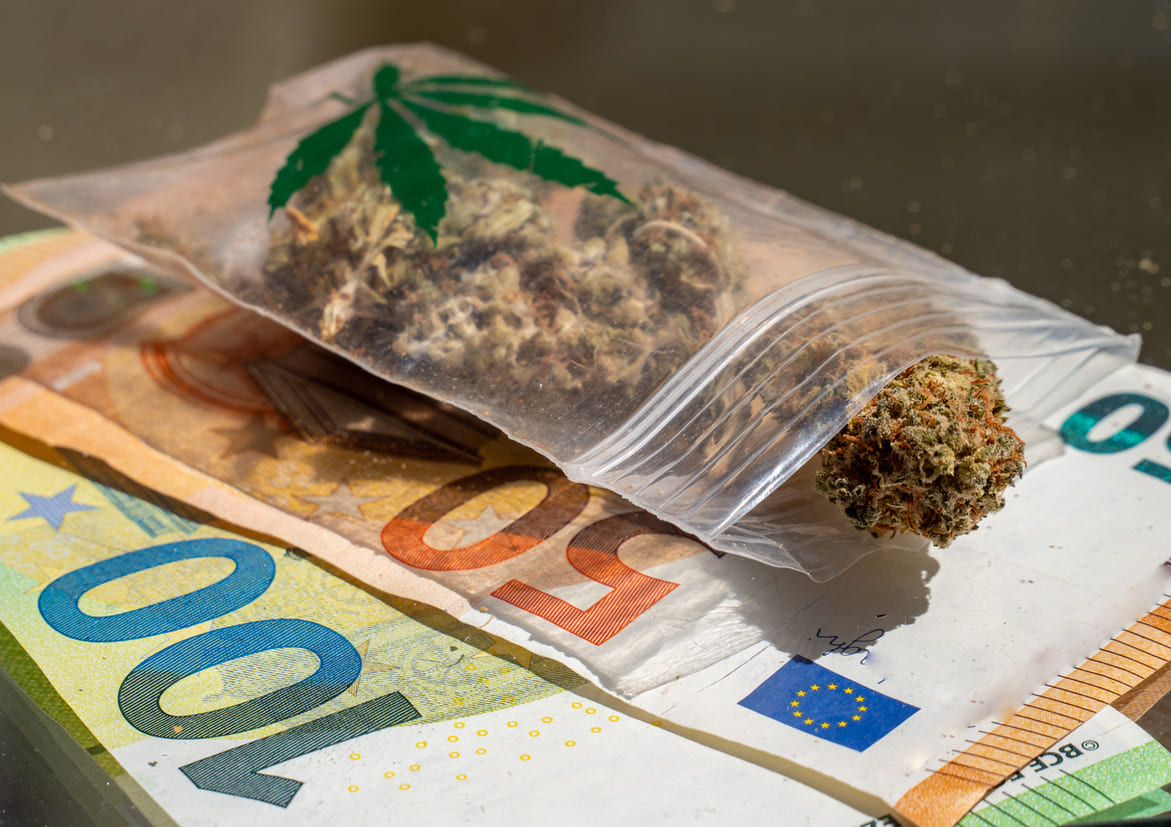 Quels sont les prix actuels du CBD ?